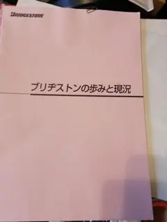 ディズニー　非売品　リゾートポスト　社内報 ディズニーキャスト社内報 リゾートポスト - メルカリ