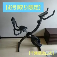 ALINCO FITNESS　フィットネスバイク　背もたれ付き