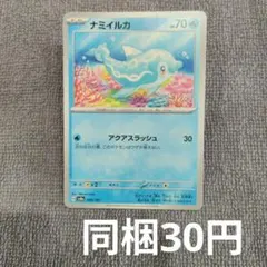 【在庫1】ナミイルカまとめ買い