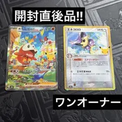 【美品】ホゲータex SAR MEGA 拡張パック 30th エネコロロ復刻