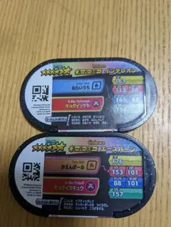 エースバーン＆インテレオン