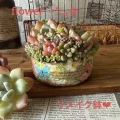❤︎flowerリメイク鉢❤︎ そのまま飾れる多肉植物の寄せ植えリメ鉢ちまちまリメ缶