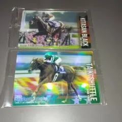 サラブレッドホースコレクションツインウエハース第2R