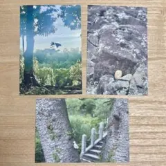 あっ日常【ポストカード】写真 フォト 印刷 インテリア アート