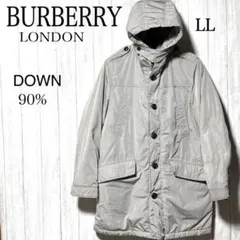 Item thumbnail for item 812f9ca5-6892-4743-bec0-758c37b20f62