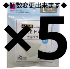 ５袋　立体マスク　L　ふつう　小顔効果　フェイスマスク　ホワイト　白色　⑪