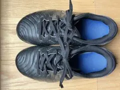 Item thumbnail for item ec1a5d16-e7d6-42a6-a5b9-41918d4af546