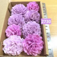 ソラフラワー　2730