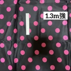 Item thumbnail for item d801bea1-ee55-40e3-96dc-71a74eb10a8a