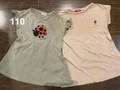 ワンピース110