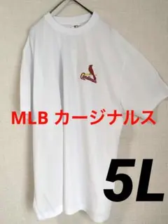 MLB カージナルス Tシャツ メンズ5L