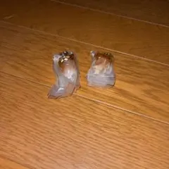 なめこ めじるしアクセサリー/キーホルダー ガチャガチャ　2種