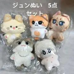 2025年最新】セブチ ジュン ぬいぐるみ マスターの人気アイテム - メルカリ