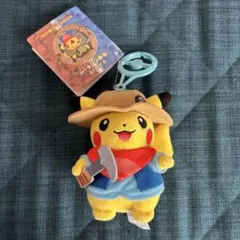 2026年最新】化石博物館 ポケモンの人気アイテム - メルカリ