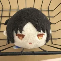 ワールドトリガー ワートリ 雷神丸 カピバラ 限定 ぬいぐるみ - メルカリ