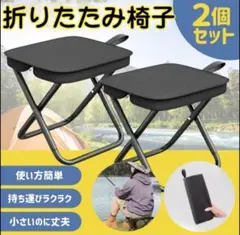 2個セット】折りたたみ椅子 軽量コンパクト アウトドア キャンプ