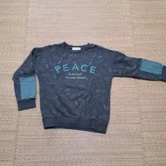 Item thumbnail for item 822faf17-f691-43df-8391-242021a572de