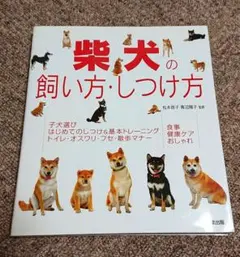 柴犬の飼い方・しつけ方