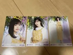 Item thumbnail for item 25659771-bd95-41a7-9009-81c33574e028