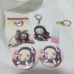 鬼滅の刃 禰豆子、胡蝶しのぶキーホルダー&缶バッチ