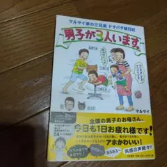 男子が3人います。 マルサイ家の三兄弟 ドタバタ絵日記