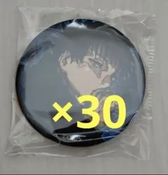 呪術廻戦 伏黒恵 ジャンプGIGA 缶バッジ 30個