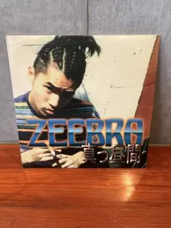 日本語ラップHIPHOPレコード 20枚セット RHYMESTER、ZEEBRA ジブラの日本語ラップメソッド | Zeebra |本 | 通販 | Amazon