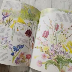 Marjorie Blamey s Wild Flowers - メルカリ