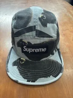 25SS Supreme Damien Hirst Camp Cap