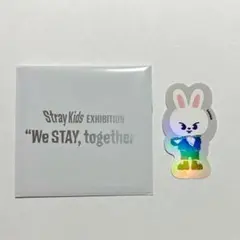 straykids skzoo skz スキズ ステッカー リノ leeknow
