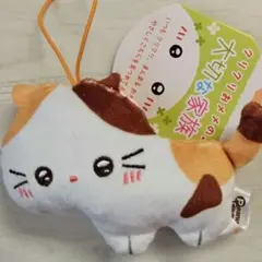 クリクリおメメの大切な家族★ねこ★にゃんこ ★マスコット