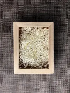 c857 大棗 八ツ橋蒔絵 堀之内宗完書付 加州 大井好雲斎造 木箱