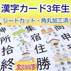 漢字カード 3年 知育 療育 視覚支援 特別支援 小学校受験