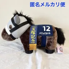 第39回有馬記念 ナリタブライアン 超ビックぬいぐるみ - メルカリ