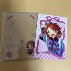 ミニブロマイド 硬質カードケースコレクション 葵ひなた