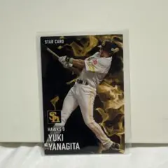 柳田悠岐 スターカード プロ野球チップスカード 2025 S-38