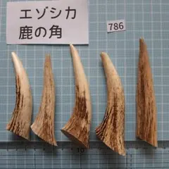 ゴンベンさん様 リクエスト 2点 まとめ商品