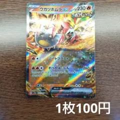 ウガツホムラex RR SV8a テラスタルフェスex 027/187 - メルカリ