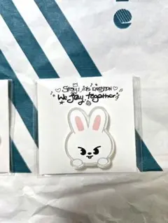 Stray Kids スキズ アクリルステッカー リービット 展覧会