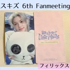 StrayKids スキズ　フィリックス　ペンミ　トレーディングカード　B766