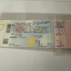東京湾大華火祭 2026年10月24日 チケット
