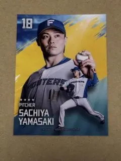 北海道日本ハムファイターズ 山﨑福也 トレカ