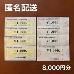 ビックカメラ コジマ 株主優待券 8000円分