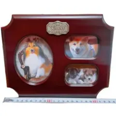 KAWAI 木製　犬のイラスト フォトフレーム　3面　写真立て