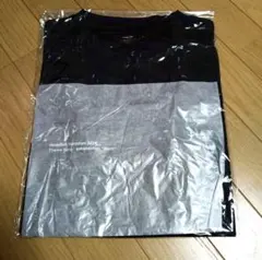 【新品・未開封】Mサイズ　北海道マラソンTシャツ2026 サカナクション　モス