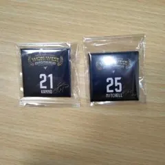 ラ*ド様 長崎ヴェルカ　西地区優勝記念ガチャ　セット りそなグループB.LEAGUE 2025-26シーズン 西地区優勝記念グッズ販売