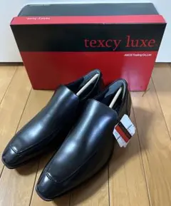 texcy luxe ロングノーズ スリッポン ローファーシューズ(25cm)黒