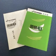 Item thumbnail for item dea775be-3a2a-475d-a7be-c0bf9a11dc2c