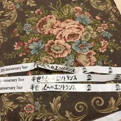 MrChildren30thAnniversaryTour半世紀へのエントランスのサムネイル