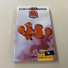 学研の図鑑ライブポケット 魚